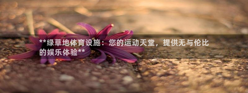 意昂3神州：**绿草地体育设施：您的运动天堂，提供无