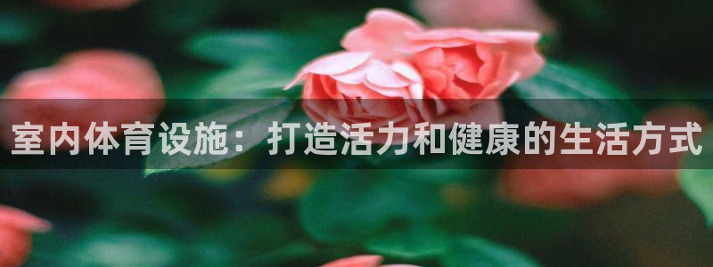 意昂体育3招商电话号码：室内体育设施：打造活力和健康