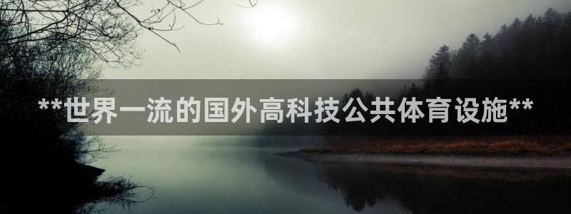 意昂体育3招商：**世界一流的国外高科技公共体育设施