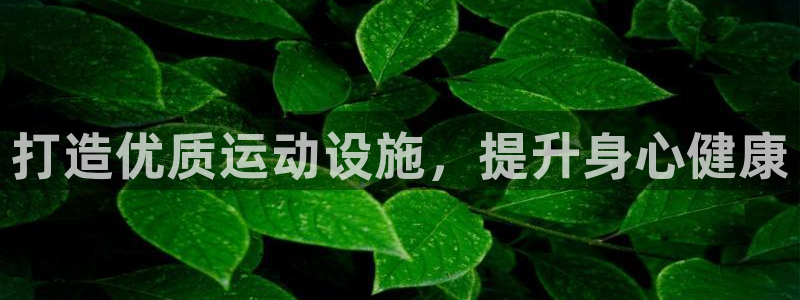 意昂3集团官网网址：打造优质运动设施，提升身心健康