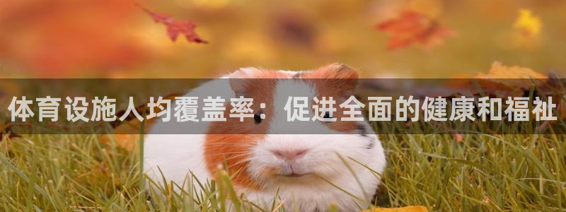 意昂3娱乐40996：体育设施人均覆盖率：促进全面的