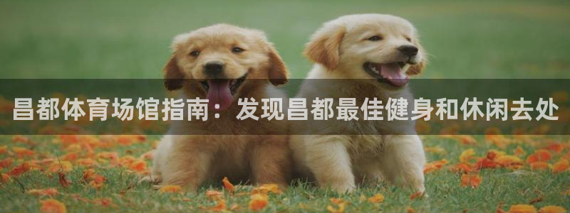 意昂体育3招商电话地址：昌都体育场馆指南：发现昌都最