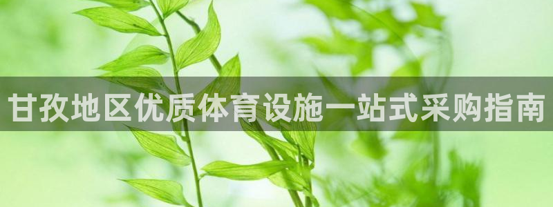 意昂3代理：甘孜地区优质体育设施一站式采购指南
