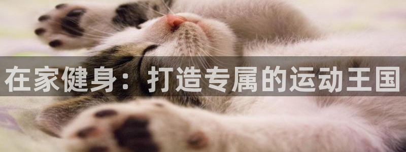 意昂体育3招商电话号码查询是多少：在家健身：打造专属