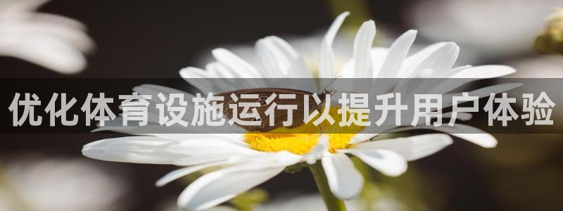 意昂3集团简介：优化体育设施运行以提升用户体验