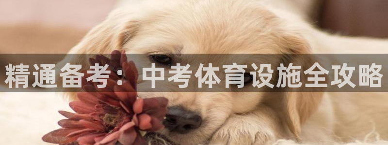 意昂3集团E.ON：精通备考：中考体育设施全攻略