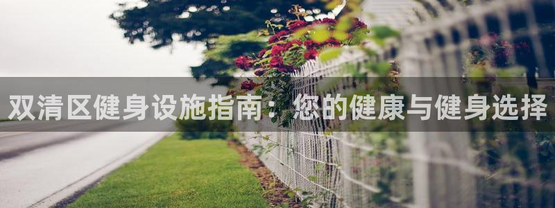 德国意昂3集团：双清区健身设施指南：您的健康与健身选择