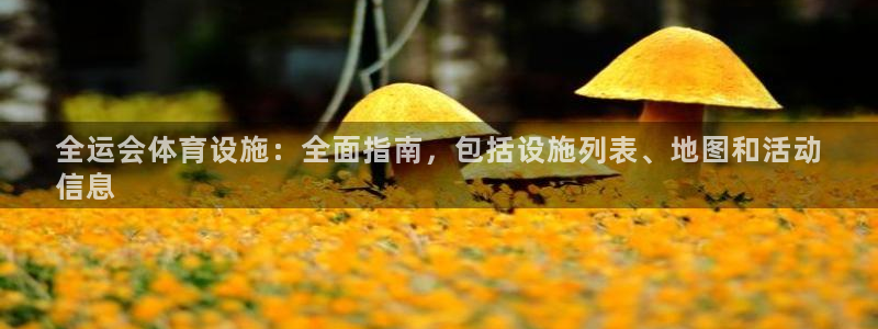 意昂3娱乐：全运会体育设施：全面指南，包括设施列表、地图和活