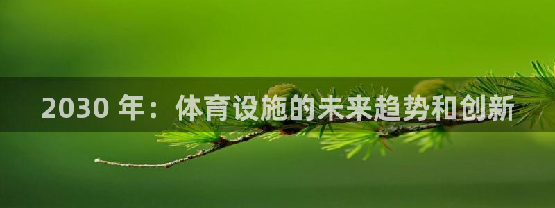 意昂体育3平台注册要钱吗安全吗：2030 年：体育设施的未来 