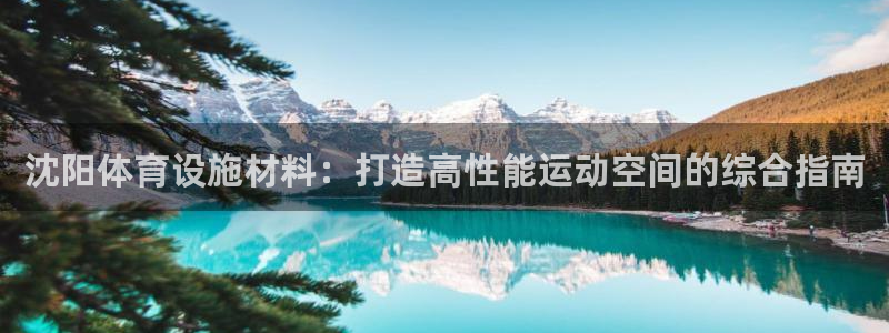意昂体育3招商电话地址：沈阳体育设施材料：打造高性能运动空间