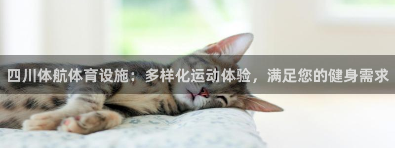 意昂3集团官网首页：四川体航体育设施：多样化运动体验，满足您