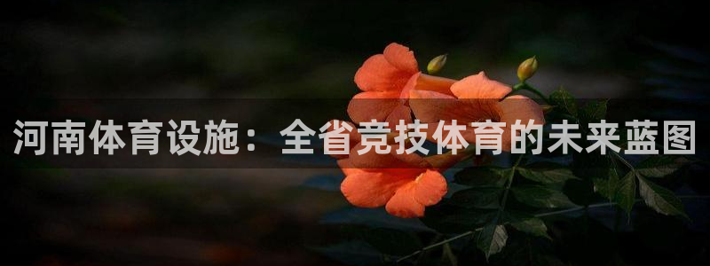 意昂平台体育