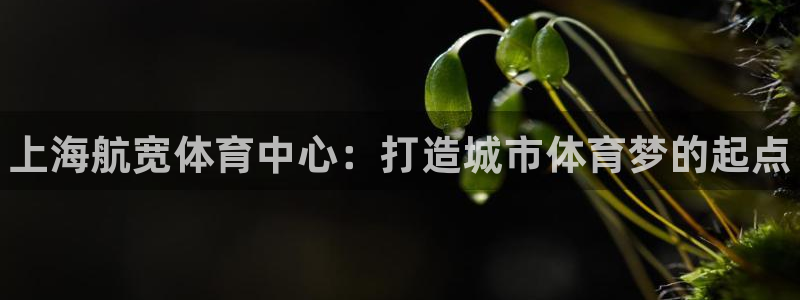 海南意昂体育3