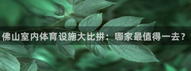意昂体育3娱乐：佛山室内体育设施大比拼：哪家最值得一去？