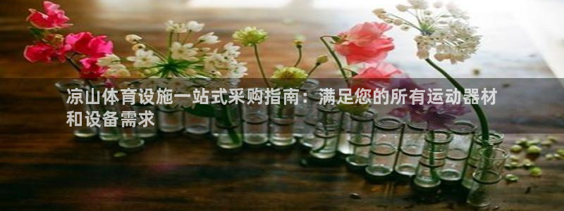 意昂体育3招商电话号码是多少：凉山体育设施一站式采购指南：满