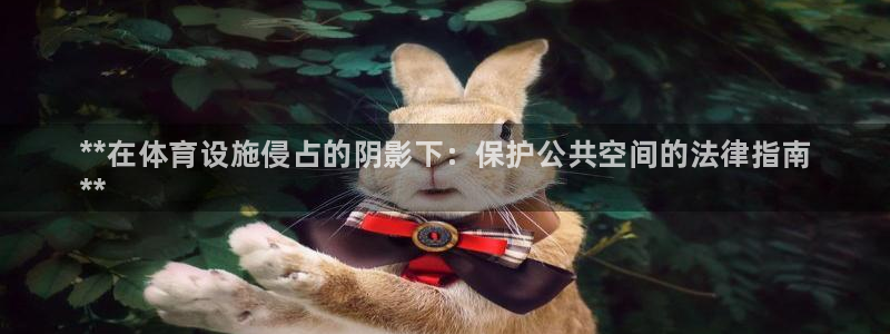 意昂3集团官网网址：**在体育设施侵占的阴影下：保护
