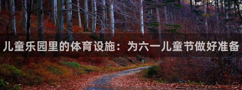 意昂3集团官网网址：儿童乐园里的体育设施：为六一儿童