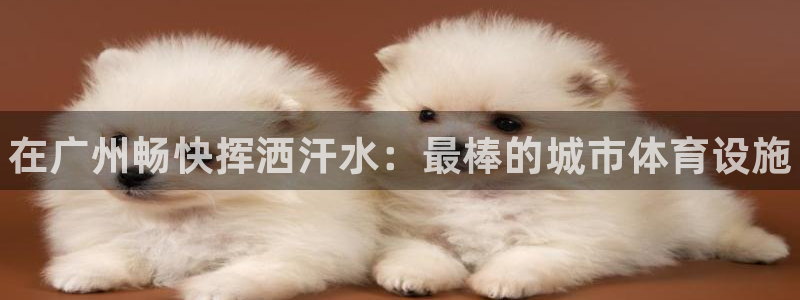 意昂体育3平台注册要钱吗安全吗：在广州畅快挥洒汗水：