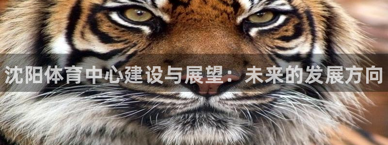 意昂体育3平台：沈阳体育中心建设与展望：未来的发展方