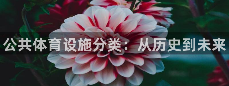 意昂体育3招商电话地址是多少：公共体育设施分类：从历