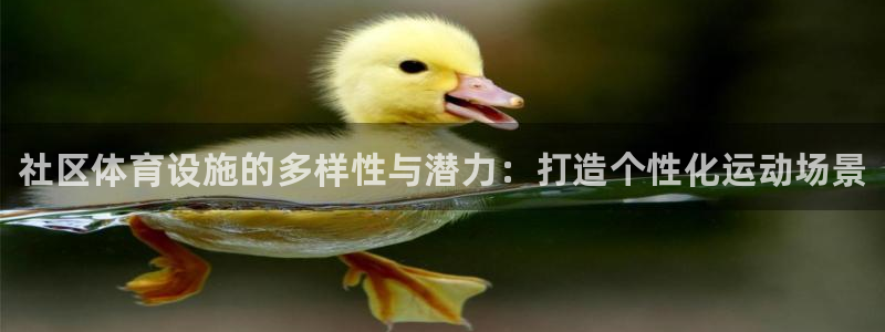 意昂3娱乐首页网站大全：社区体育设施的多样性与潜力：