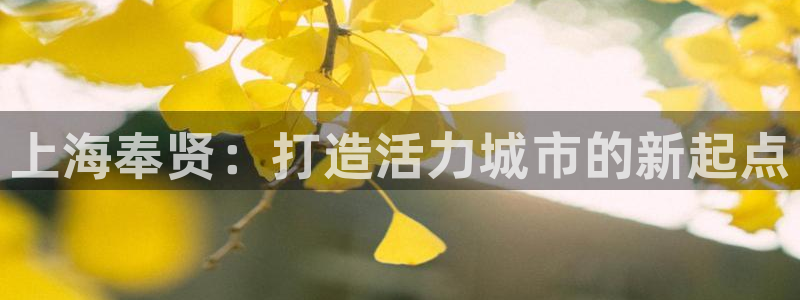 意昂体育3招商电话号码是多少号：上海奉贤：打造活力城市的新起