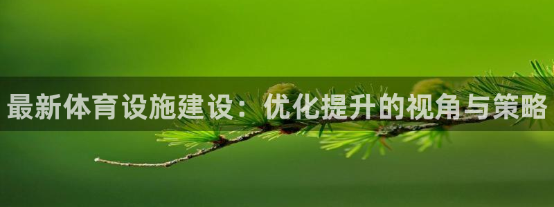 意昂集团官网：最新体育设施建设：优化提升的视角与策略 